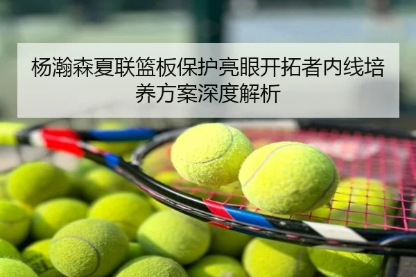 杨瀚森夏联篮板保护亮眼开拓者内线培养方案深度解析