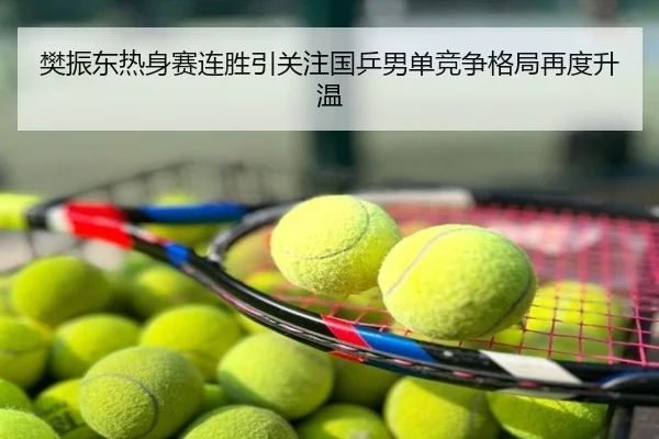 樊振东热身赛连胜引关注国乒男单竞争格局再度升温