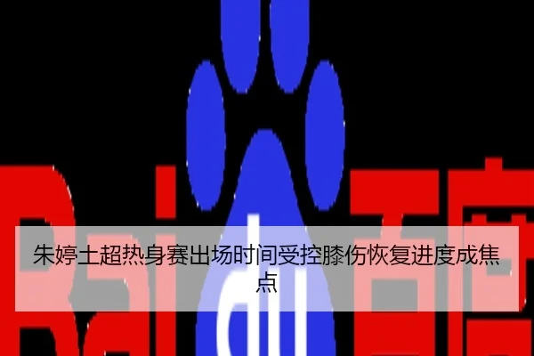 朱婷土超热身赛出场时间受控膝伤恢复进度成焦点