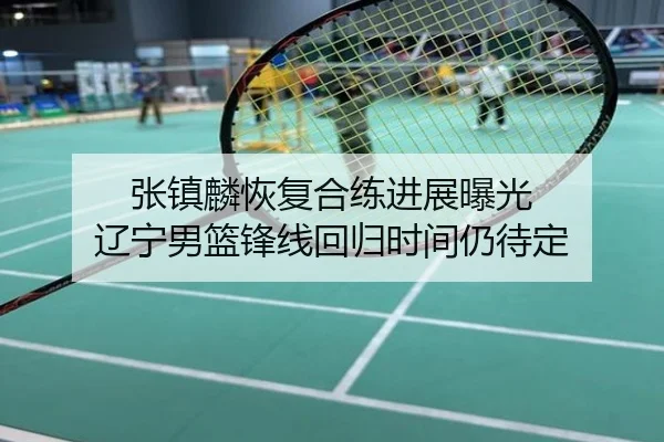 张镇麟恢复合练进展曝光 辽宁男篮锋线回归时间仍待定